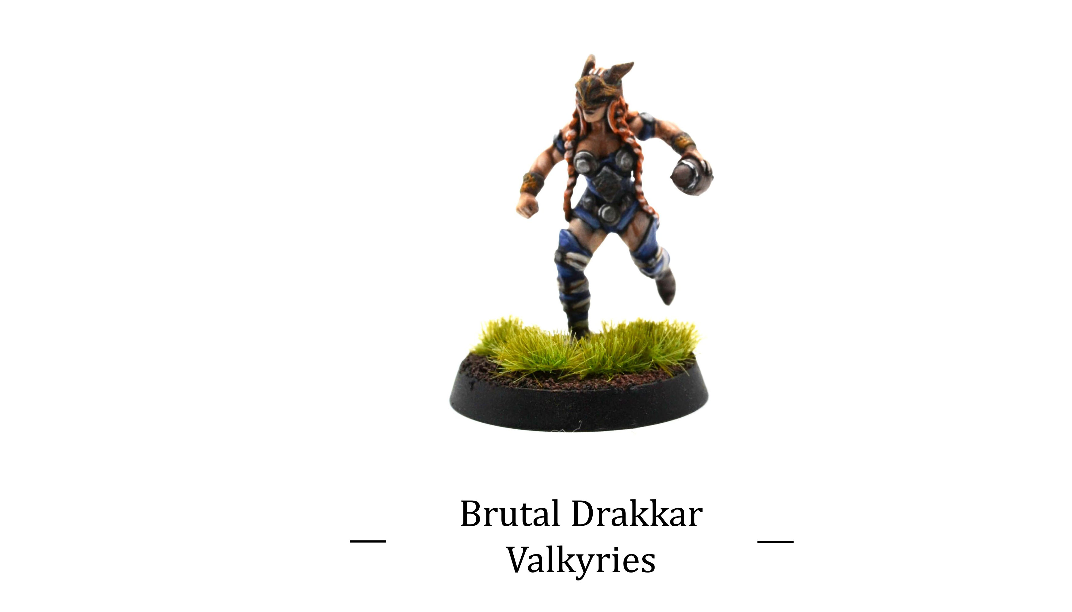 Realm of Paths  Brutal Drakkar : Valkyries miniatures 3d print painted by commission painter.